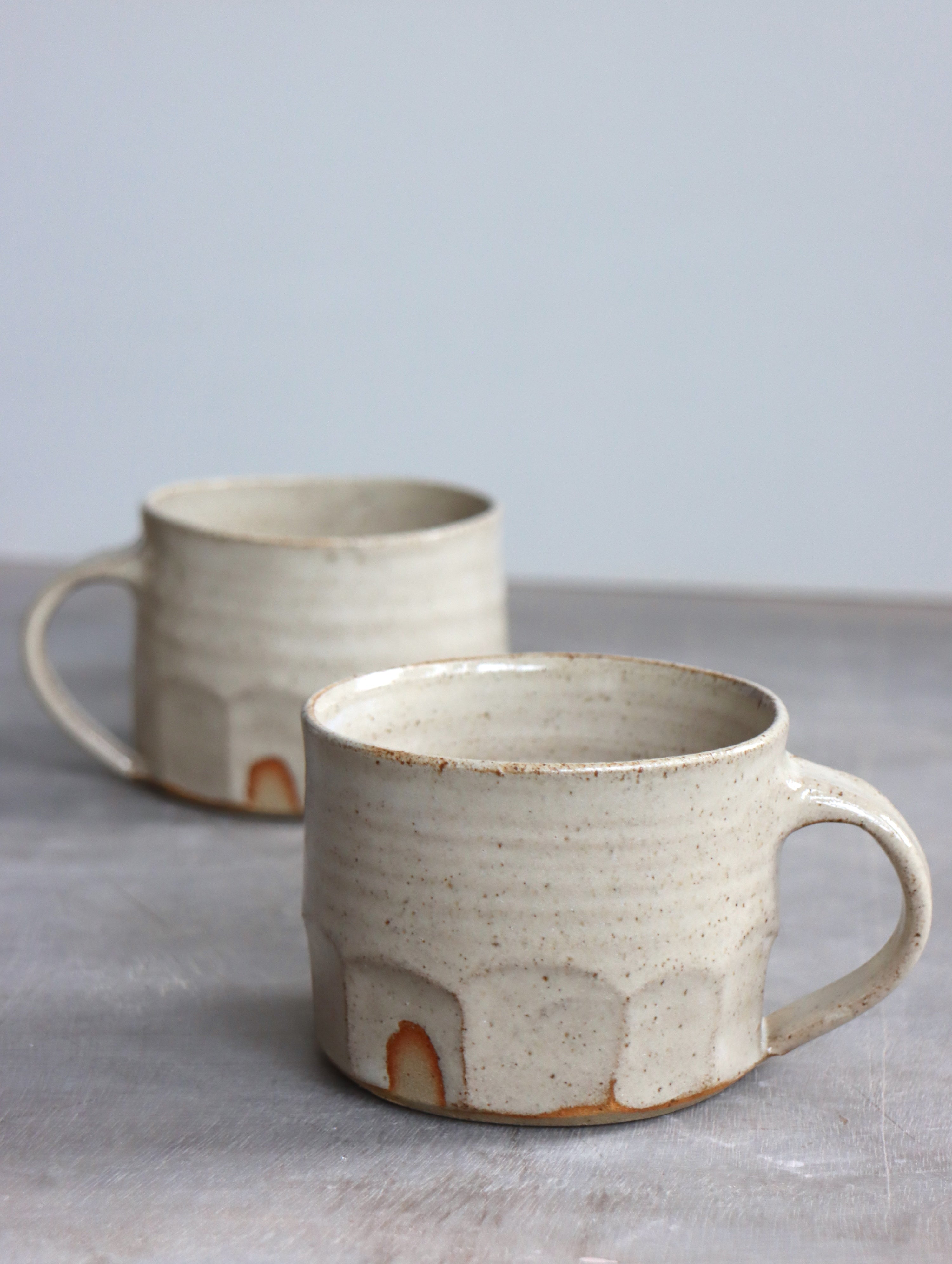 Faceted Mug in White Speckle (10oz)