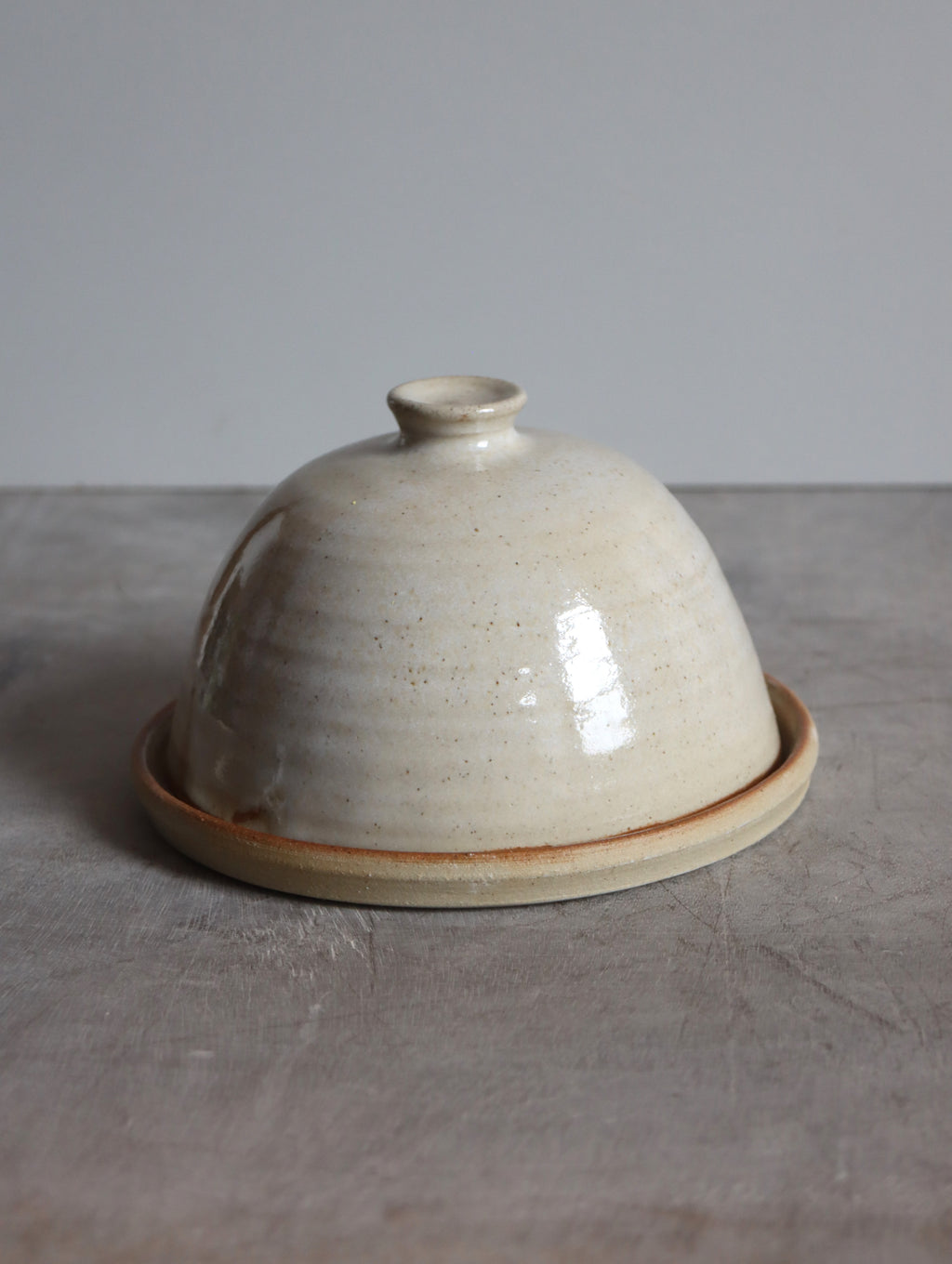 Butter Dish in White Speckle