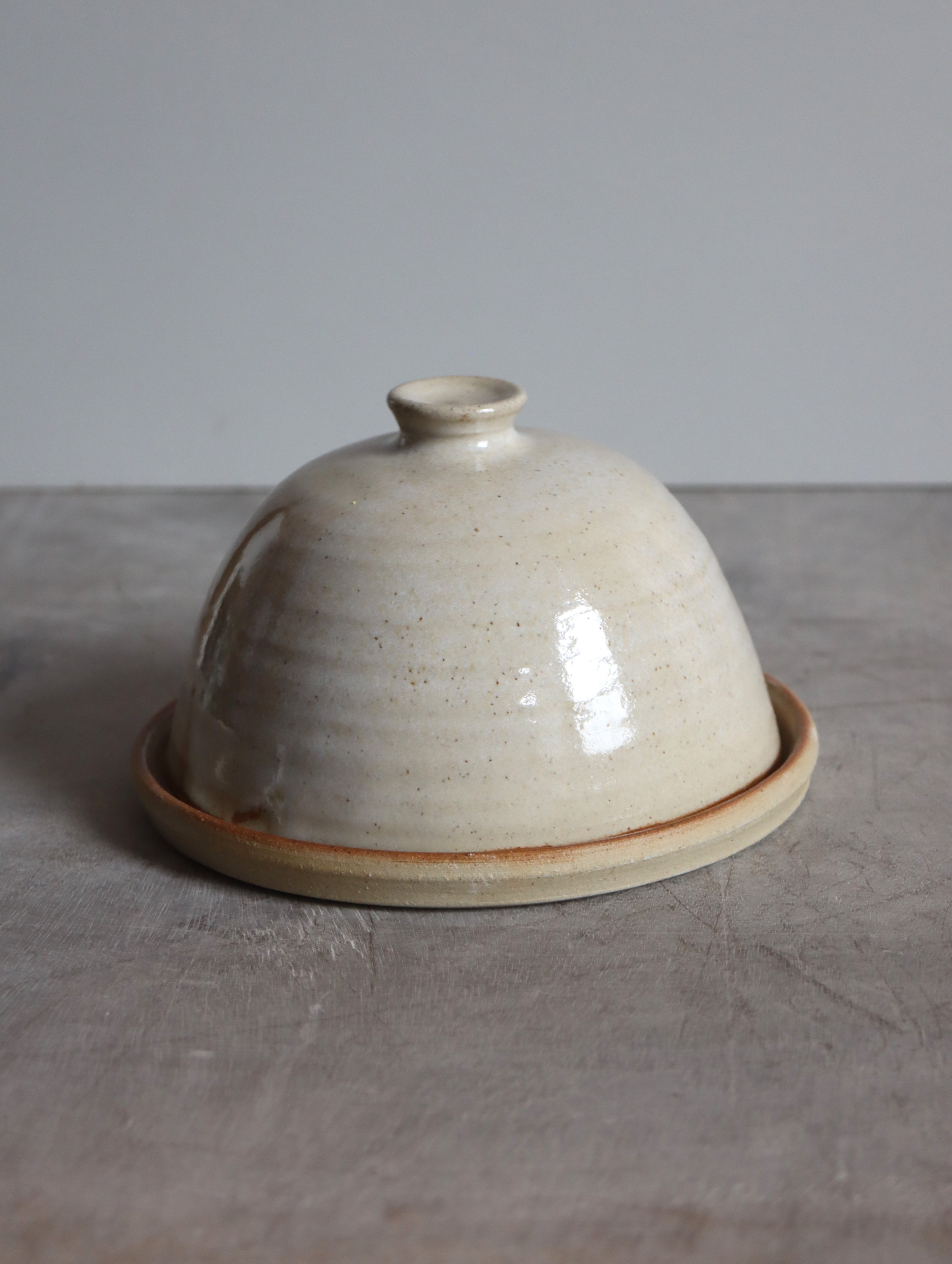 Butter Dish in White Speckle