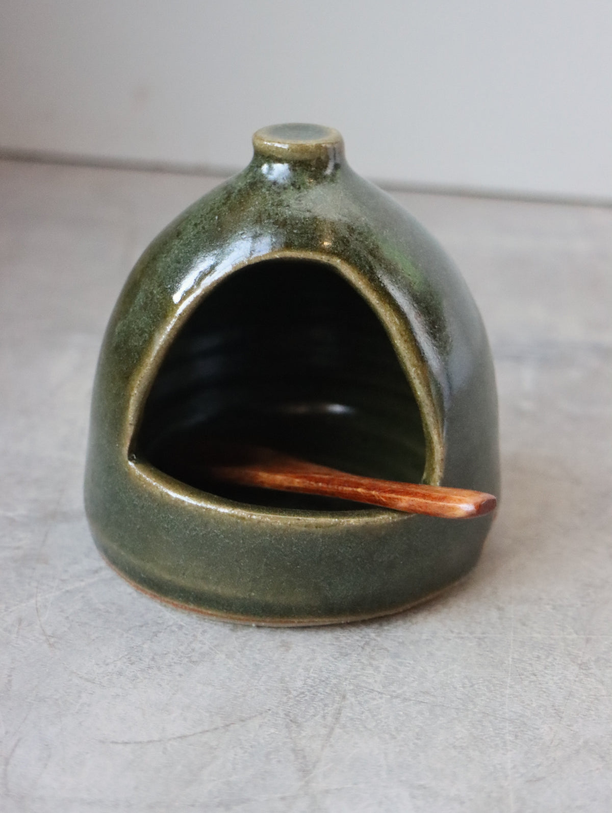Salt Pig in Moss and Small Wooden Spoon