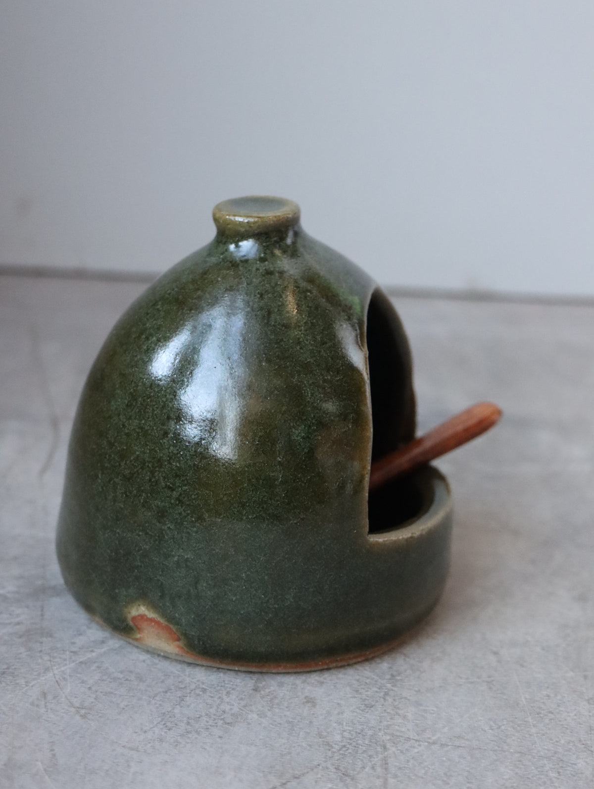 Salt Pig in Moss and Small Wooden Spoon